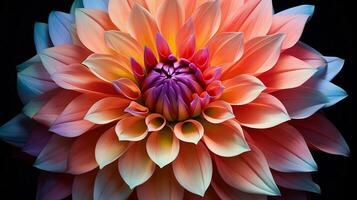 levendig dahlia bloesem een single voorwerp van schoonheid in natuur foto