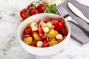 Italiaans caprese salade met tomaat en Mozzarella foto