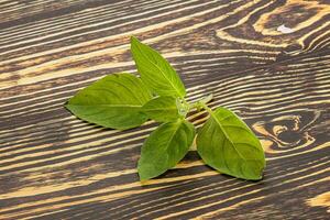 rauw groen basilicum bladeren kruiderij foto