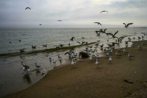 voorjaar Aan een strand foto