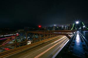 Aan de Brooklyn brug foto