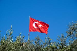 Turks vlag tegen de blauw lucht en tops van de bomen. foto