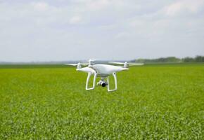 vliegend wit quadrocopters over- een veld- van tarwe foto