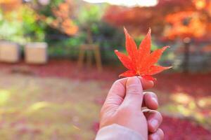rood blad met hand- Bij kasagiyama momiji park in Kyoto in herfst foto