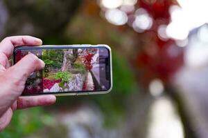 een smartphone het schieten opgestapeld omhoog rood bladeren in de versmallen goot in herfst foto
