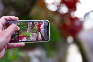 een smartphone het schieten opgestapeld omhoog rood bladeren in de versmallen goot in herfst foto