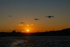 meeuwen en silhouet van Istanbul Bij zonsondergang. foto