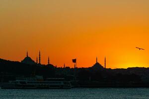 silhouet van Istanbul Bij zonsondergang. suleymaniye en fatih moskeeën met zeemeeuw foto
