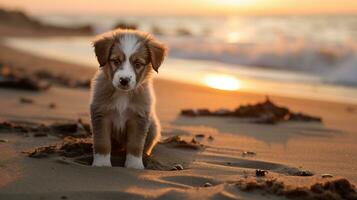 ai gegenereerd foto van een nieuwsgierig puppy verkennen een zanderig strand Bij zonsondergang. generatief ai