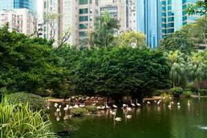 hong kong, maart 27, 2019-weergave van de hong Kong openbaar park gedurende een bewolkt dag foto