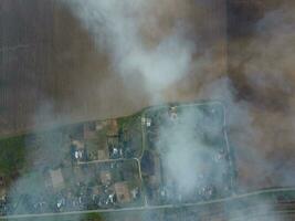 brandend rietje in de velden na oogsten tarwe Bijsnijden foto