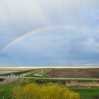 regenboog, een visie van de landschap in de veld. vorming van de foto