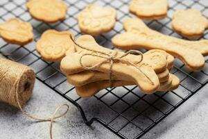eigengemaakt hond biscuits foto