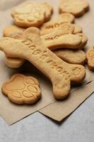 eigengemaakt hond biscuits foto