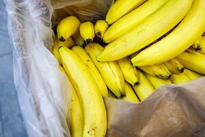 bananen in de op te slaan Aan de teller in een karton doos. uitverkoop van vers fruit in supermarkten foto