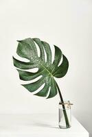 monstera tropisch blad in glas vaas staand Aan wit tafel, voorkant visie. modern esthetiek minimaal interieur foto