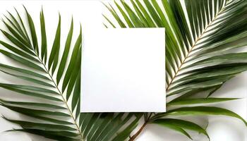 ai gegenereerd een blanco vel van papier is geplaatst Aan top van een palm blad foto