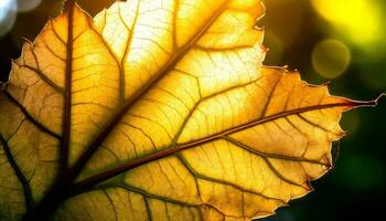 ai gegenereerd een dichtbij omhoog van een blad met zonlicht schijnend door het foto