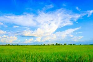 de lucht en wolken van de groen velden foto