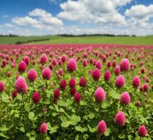 ai gegenereerd veld- van rood Klaver foto