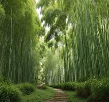 ai gegenereerd bamboe Woud in zomer, arashiyama, kyoto, Japan foto