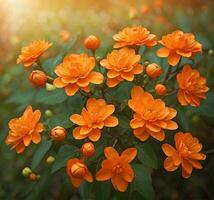 ai gegenereerd mooi oranje bloemen in de tuin. natuur achtergrond met kopiëren ruimte. foto