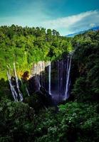 tumpak sewu.panoramic prachtige diepe boswaterval in indonesië foto