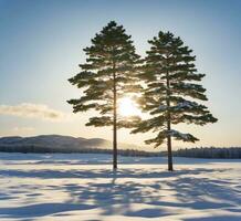 ai gegenereerd pijnboom bomen in de sneeuw Aan een achtergrond van bergen en blauw lucht foto