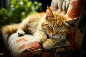 ai gegenereerd sofa sluimeren lui kat verwent in een vredig huis rust uit foto