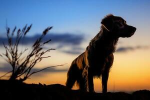 ai gegenereerd avond gloed afgietsels een mooi silhouet van een trouw hond foto