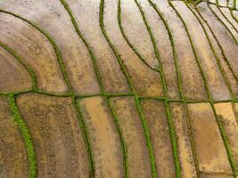 de schoonheid van de ochtend- panorama met zonsopkomst in Indonesië dorp foto