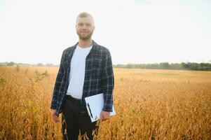 agronoom inspecteren soja Boon gewassen groeit in de boerderij veld. landbouw productie concept. jong agronoom onderzoekt soja Bijsnijden Aan veld. boer Aan soja veld. foto