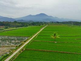 de schoonheid van de ochtend- panorama met zonsopkomst in Indonesië dorp foto