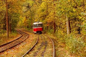 herfst Woud door welke een oud tram ritten Oekraïne foto