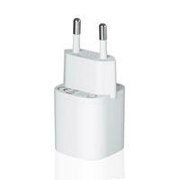 netwerk adapter 220v USB opladen Aan een wit achtergrond foto