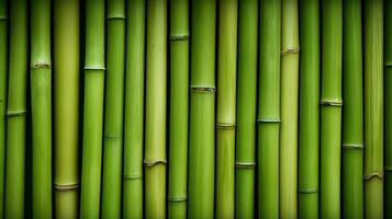 ai gegenereerd groen bamboe structuur voor interieur of buitenkant ontwerp, bamboe hek structuur achtergrond. foto