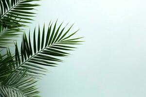 ai gegenereerd minimalistische charme een palm blad banier siert een gemakkelijk achtergrond met ingetogen elegantie foto