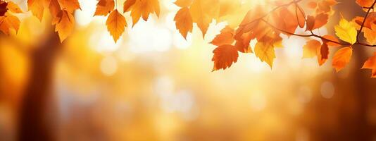 ai gegenereerd mooi oranje en gouden herfst bladeren tegen een wazig park in zonlicht met mooi bokeh. foto