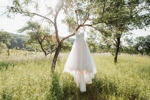 een zacht roze bruiloft jurk hangende Aan een mooi boom in de tuin. mooi zonlicht. bruiloft foto. foto