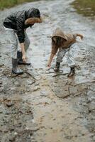 twee gelukkig weinig meisjes van Europese uiterlijk spelen in plassen gedurende regen in zomer. kinderen zijn spelen in de regen. kind spelen in natuur buitenshuis. de meisje geniet de regen. foto