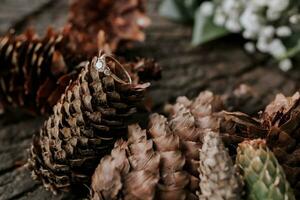 bruiloft ring aan het liegen Aan een Kerstmis boom ijshoorntje, Aan een mooi getextureerde oppervlak, foto details. samenstelling