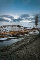 verticaal landschap van een winter tafereel foto