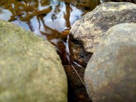 een dichtbij omhoog van rotsen en water in een stroom foto