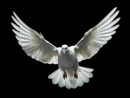 ai gegenereerd mooi wit duif klapperen haar Vleugels geïsoleerd Aan zwart achtergrond. generatief ai foto