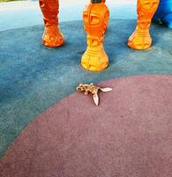 concept schot van de kinderen speelgoed- links Bij de speelplaats. stedelijk foto