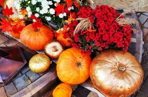 dichtbij omhoog schot van de halloween decoraties. viering foto