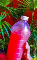 rood grapefruit sap in een plastic fles in uw hand. foto