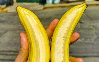 dubbele banaan twee bananen in een in de hand- Mexico. foto