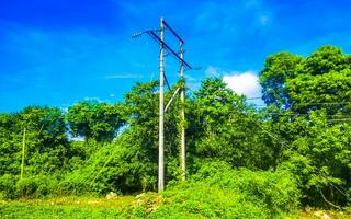 elektriciteit pyloon macht pool in de tropisch oerwoud Woud Mexico. foto