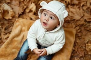 nieuwsgierig jongen in herfst park foto